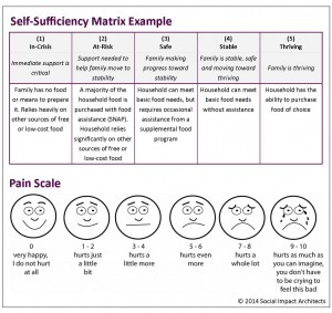 Self Sufficiency Matrix