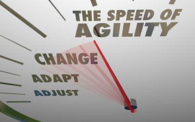 How Can Nonprofits be Agile?