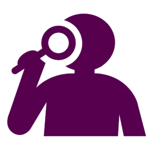 Feasibility Icon purple