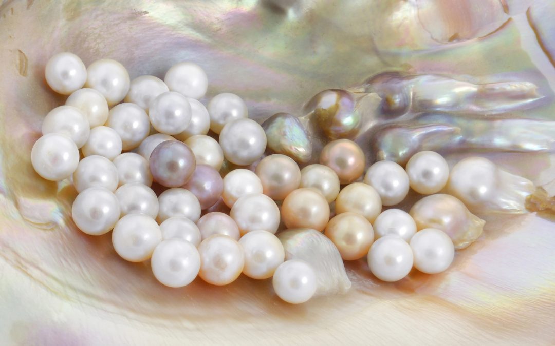 Pearls of Wisdom: Advice for Rising Social Entrepreneurs and Nonprofit Leaders