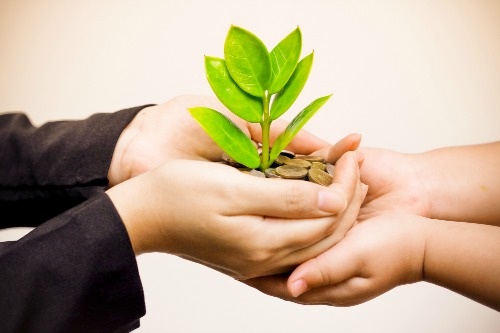 Impact Investing giving plant small