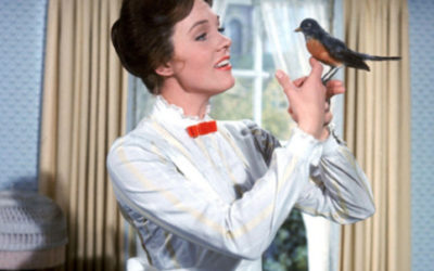 The Mary Poppins Guide to Making the Best Use of Nonprofit Downtime