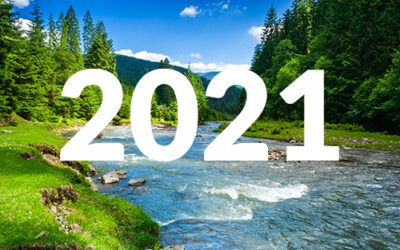 2021 Nonprofit Trends: Shifting Our Focus to Upstream Nonprofit Work