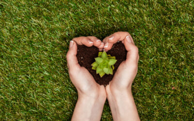 6 Easy Ways Nonprofits Can Become More Eco-Friendly